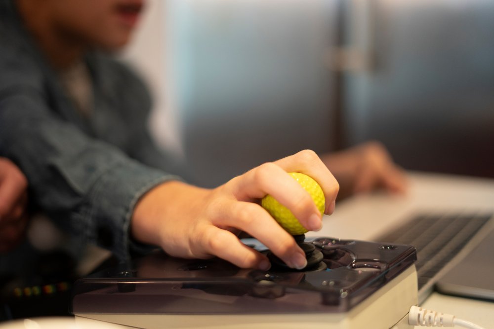 image of person using joystick at computer